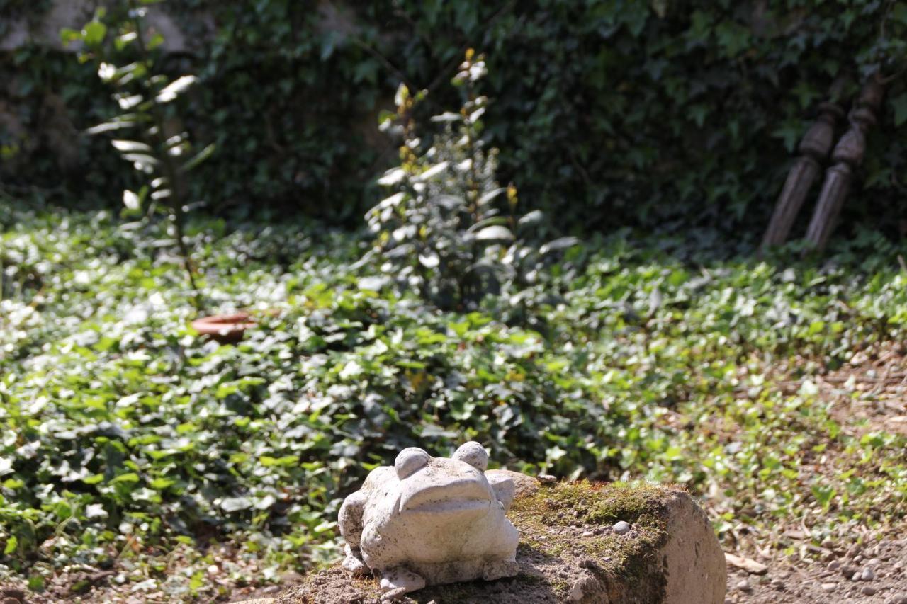 Les Pascals Panzió Saint-Paul-lès-Romans Kültér fotó
